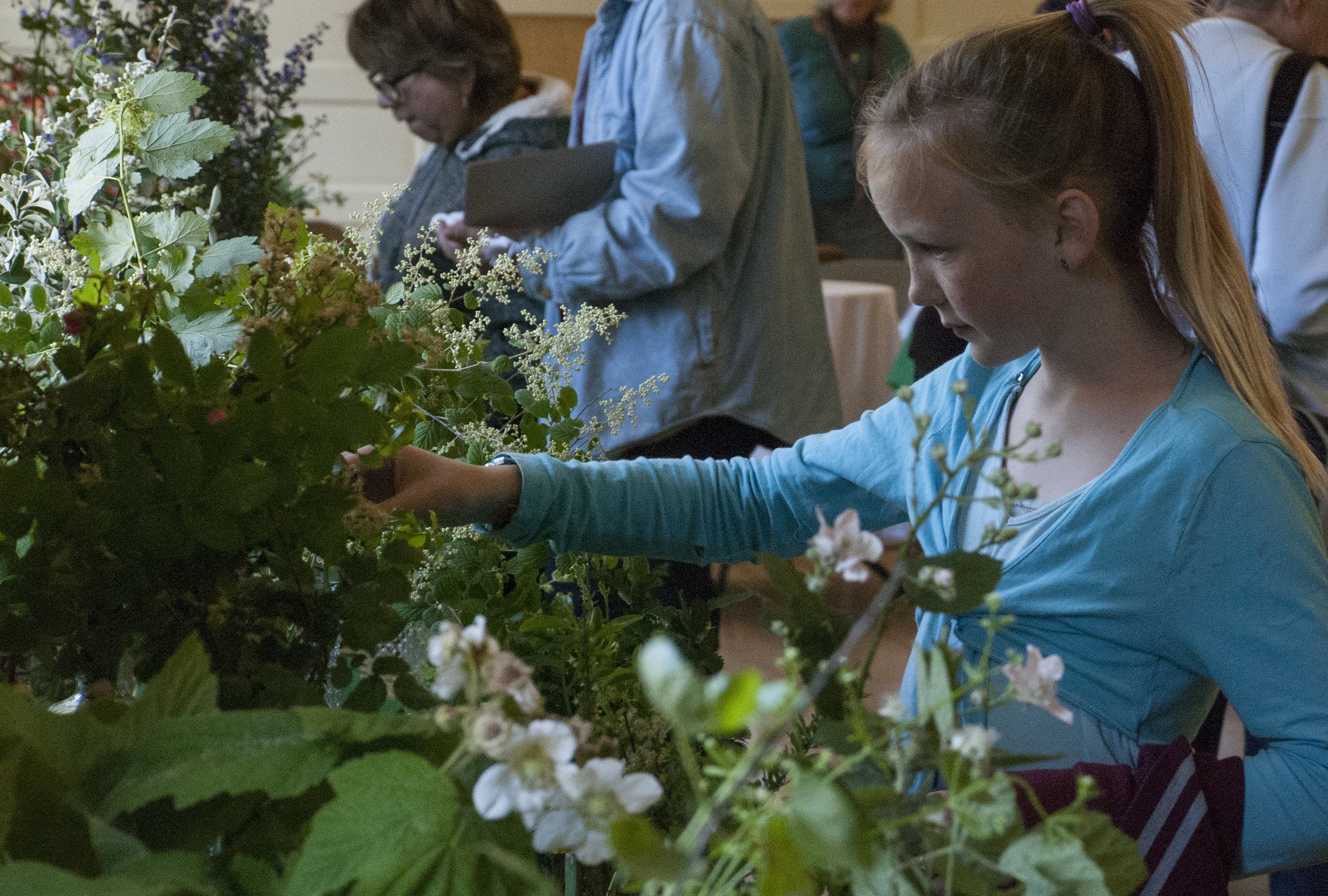 child looking at wildflowers